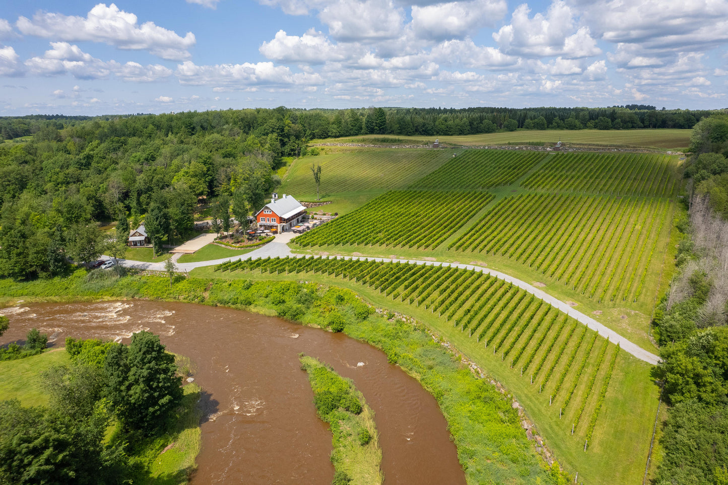 Vignoble Coteau des Artisans