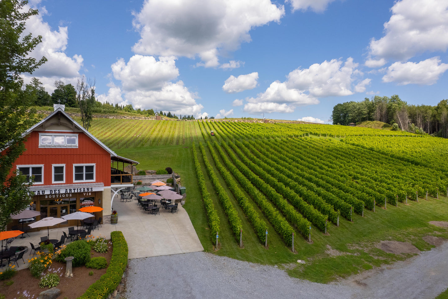 Vignoble Coteau des Artisans