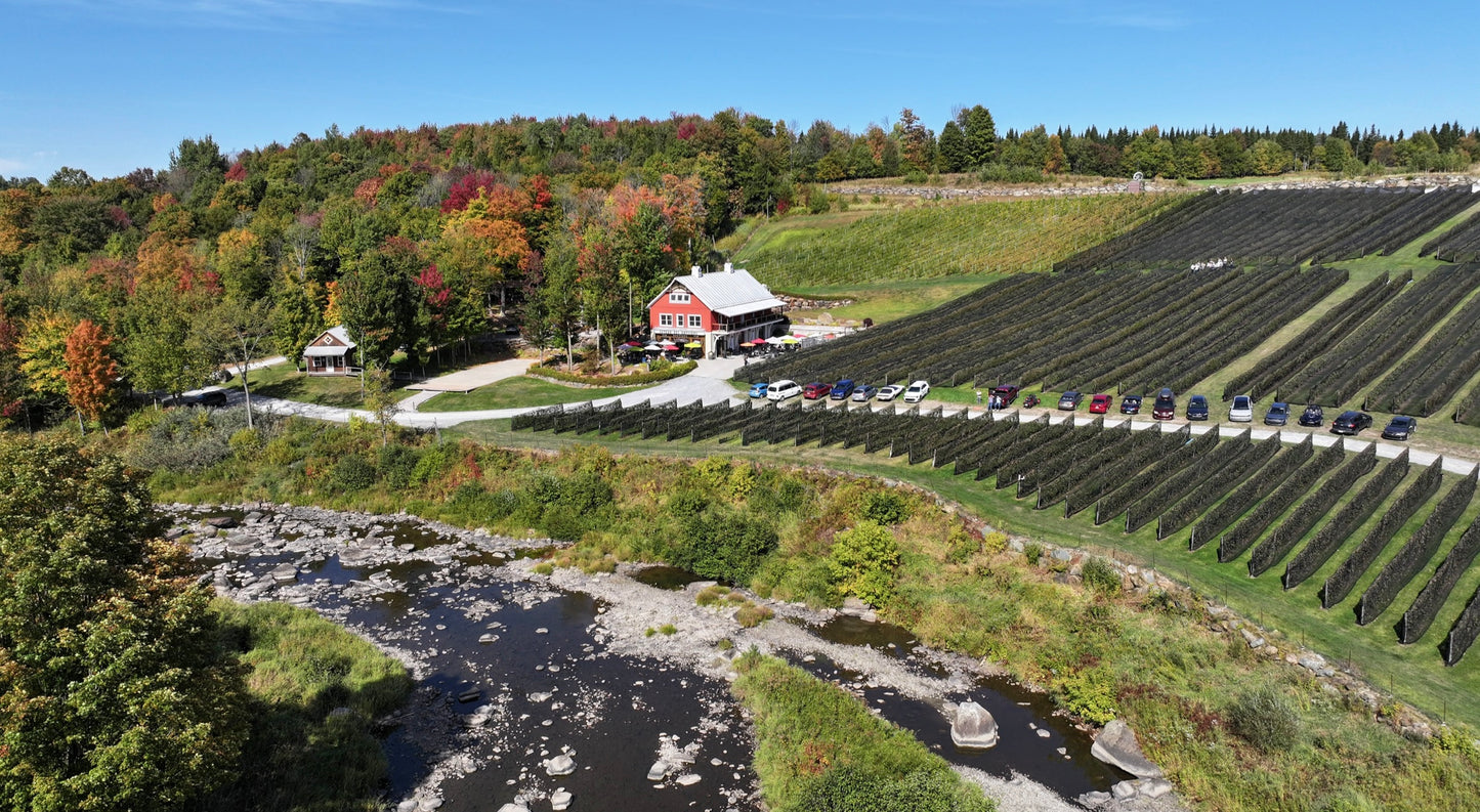 Vignoble Coteau des Artisans
