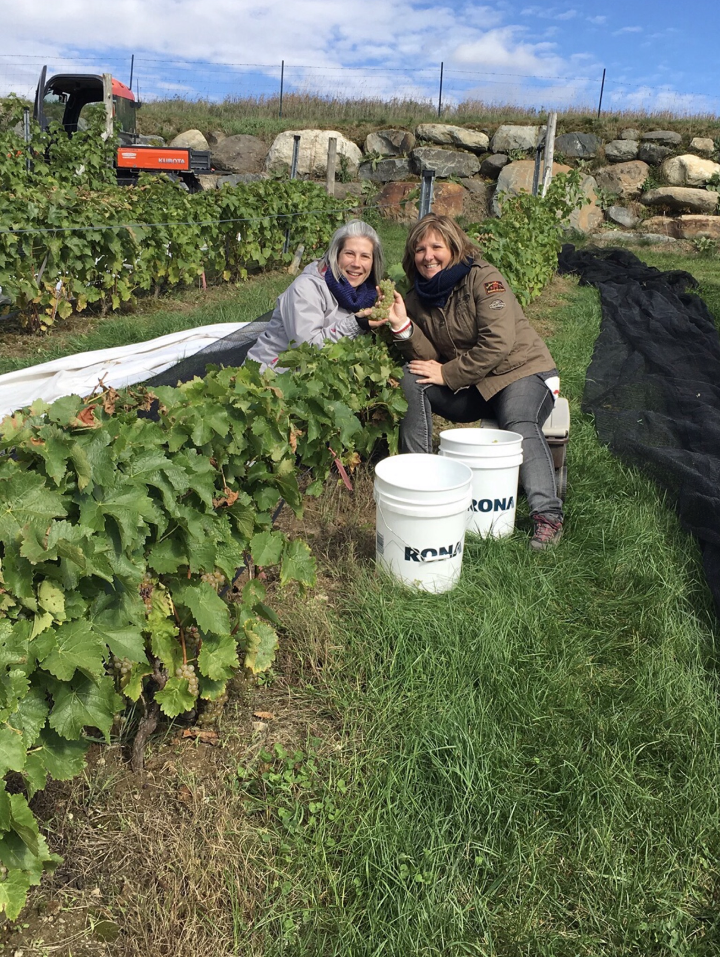 Vignoble Coteau des Artisans